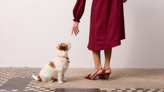 Sukienka na grudzień: Velata Bordeaux